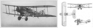 Bristol F2B Fighter(2)